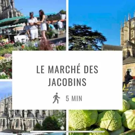 Apartment De Standing Centre Ville, Gare, Jardin,terrasse Le Mans